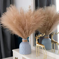 Pampas Artificielles 55 cm – Décoration Boho Chic Fluffy