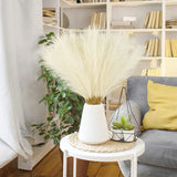 Pampas Artificielles 55 cm – Décoration Boho Chic Fluffy