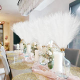 Pampas Artificielles 55 cm – Décoration Boho Chic Fluffy
