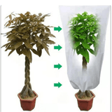 Set de 2 de Sacs de Protection Anti - Gel pour Plantes d'Hiver - MOM GARDEN